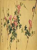 160504_光寶_花鳥_3