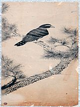 160561_鄧子玉_蒼松麻鷹圖