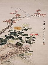 1605230_朱偁_鳥菊